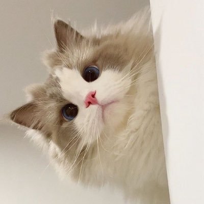 ekoskei20's profile picture. Just simple