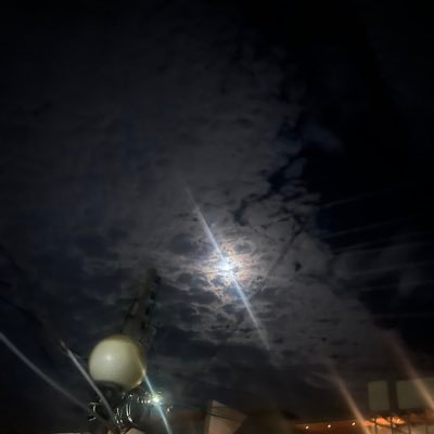 Saharachahiye's profile picture. -Kafkaesque