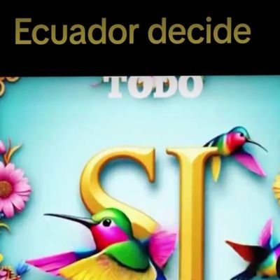 FWissembou6944's profile picture. 