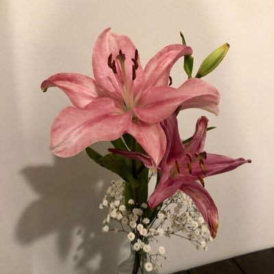 SaraAlghaf60482's profile picture. "ولسوف يعطيك ربك فترضى " 🤍،