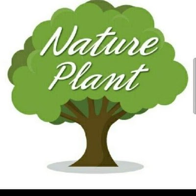 DreamInstallati's profile picture. 