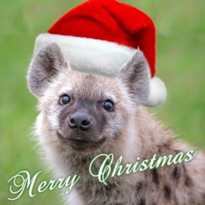 Ventheyeen_'s profile picture. ~welcome in~ Venus but Ven for short 🕯️ He/They | FREE 🇵🇸 *furry, so expect a few on this page* -multi-form artist-