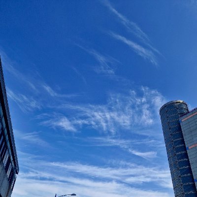 lsw8385's profile picture. 근육, 타이즈, 수영복, 트윙크, 니플 등등 내 페티시 통하는 계정 팔로우걸거임|
디엠은 편하게 ㄱㄱ| 게이| @gvgvcash