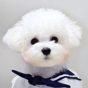 lbmna68873341's profile picture. 