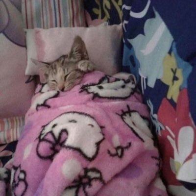 imklarece's profile picture. 