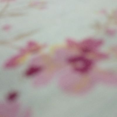 DonnaGarci17628's profile picture. 