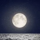 MixalisSagredos's profile picture. fishing is like heaven to me ..try it