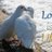 MyloveH1325's profile image