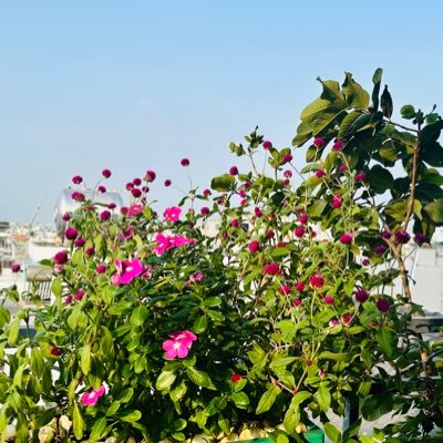 xuantamgenerous's profile picture. 