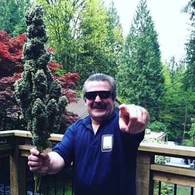CruzhMaxim's profile picture. Weeds Cultivation 🌱
Medical Personnel ☠
Potcast🏆
Sales of Cannabis,Weeds and Marijuana online directly.
🔥
Cannabis Enthusiast
📧
Email: maximcruzh@gmail.com