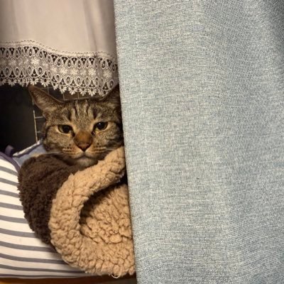 REDFOOD1290's profile picture. 