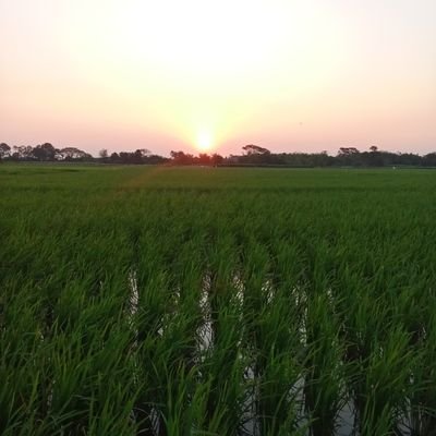 Whan1035728's profile picture. @CNPYNetwork