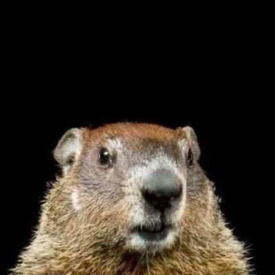 11swj77's profile picture. 