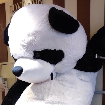 seren1138's profile picture. 興味があること:人工衛星とロケット・骨格標本・学生アメフト🏈/好きな場所:本郷界隈・KITTEの2Fと3F・懐徳門の右奥/知的財産管理技能士