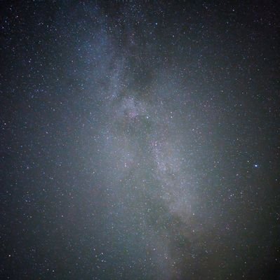 dani90's profile picture. 