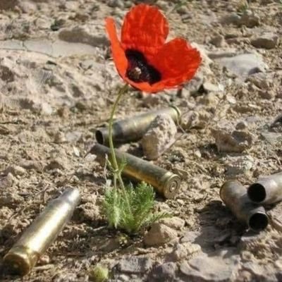 GanglSepp's profile picture. Supporting N.I.Veterans from History being rewritten by terrorists. If you have FBPE in your title-GO AWAY!