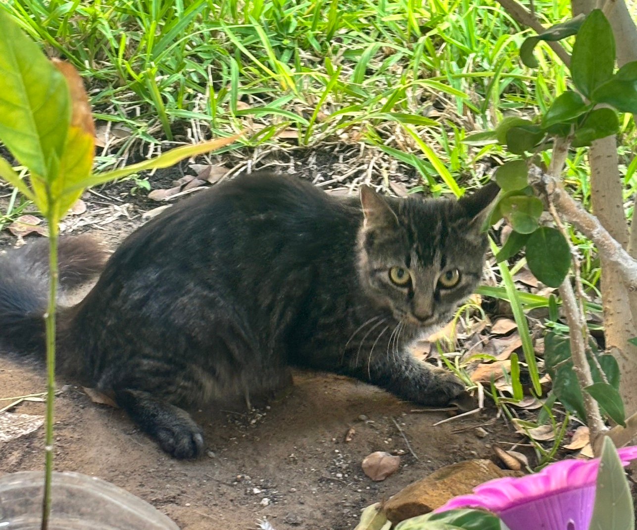 Dontgetsadgkt's profile picture. 