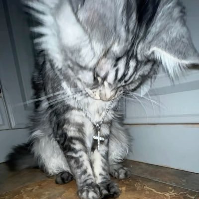 y_nccn's profile picture. あなたが泣いて生きるのなら