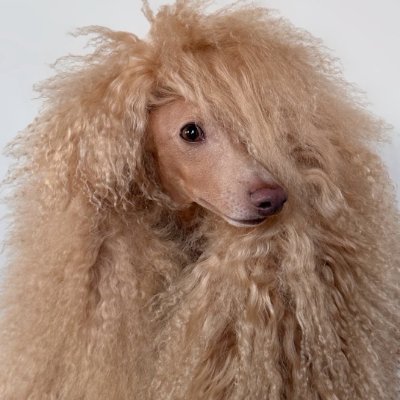 GaaPaaGaP's profile picture. متواتر، مسلسل، پے درپے، لگاتار، بکثرت، مسلسل، تسلسل،
کسی نرم چیز کے اندر کسی دوسری چیز کے متواتر اندر باہرکرے جانے کی آواز کہ ساتھ