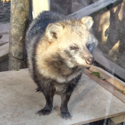 momo_bl_0326's profile picture. 趣味垢。