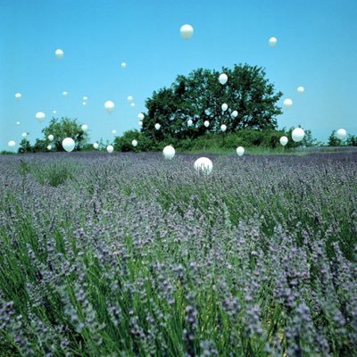 ui_a3x3's profile picture. 経理やバックオフィス業務の経験を活かしつつ、ECサイトやShopifyの勉強中です📚