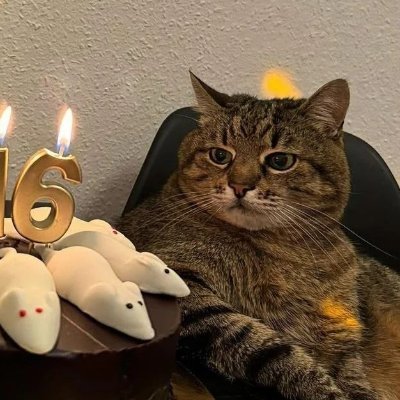 Bg9iJmzfsh36368's profile picture. サブ　メイン凍結中→解除