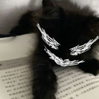 lwmdg_'s profile picture. 21    800. 0.26