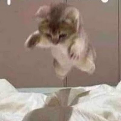 JesusPirir76387's profile picture. 