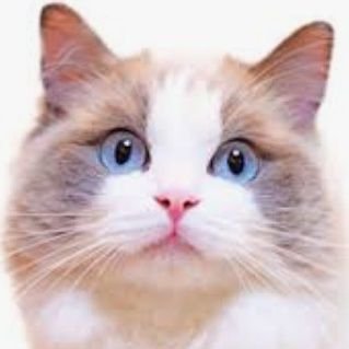 YjandCo's profile picture. お酒大好きな社畜な裏アカです〜(アカは１つ) 大阪 30代 177㌢65㌔仮想通貨界隈💰️お互い暇な時に遊びましょう🙌業者ではなく、ちゃんと出会える男子です🫶写メ交換できます😉清潔感が売りです(笑)美容も好きなんで、情報交換しよ✨️INFJ、敏腕マネ、A型