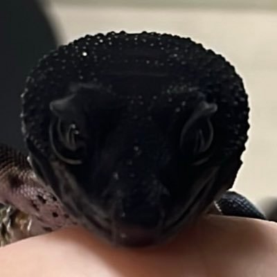 yATQun3ZvG97228's profile picture. 