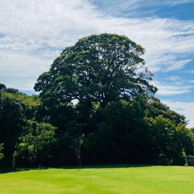 satomi_minatoya's profile picture. 里見晃太郎です。伊豆大島出身 / 下北沢近道・おてまえブッキング@chikamichi_otem / Event @minatoya_event