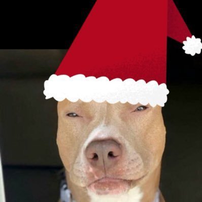 balado7_'s profile picture. SCP 🟢⚪ 🇦🇴