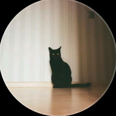 Cherylhome0's profile picture. phoenix's telegram/Instagram
➡️➡️cheeryl home.
My favourite cat is Fenya (phoenix).This is my official x account.🐈🐾🐾