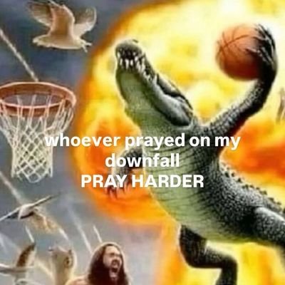 theyearofdoings's profile picture. doing greater things from smallest places 🐊🤾🏾‍♂️  his last experiment to the moon - Feb 14, 2026  2025: the year of doings — $1 and a meme
season 1 🫱🏿‍🫲🏾