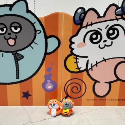 Saako0201's profile picture. ンめねこ🧡 我が家のにゃんずと重ねて狂いまくってます。