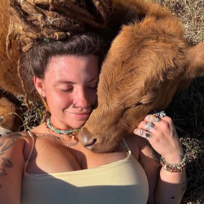 joshskyler97's profile picture. 