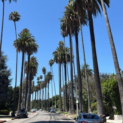 dalialhumaidi's profile picture. 