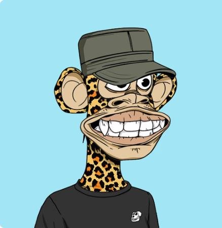 AlveraKate44417's profile picture. 