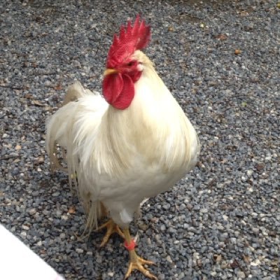 VLSv4JShsVO1zoS's profile picture. ツイッター初心者ですがよろしくお願いします😃ジャニーズ大好きです❤️ ジャニオタさんと繋がりたいです✨Hey!Say!JUMP💕WEST.💕NEWS💕