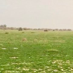 fhd2059821's profile picture. 