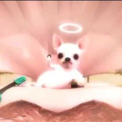 xhiwxwx's profile picture. ( ܸ ⩌⩊⩌ ܸ ) 뜨개 / 소잉