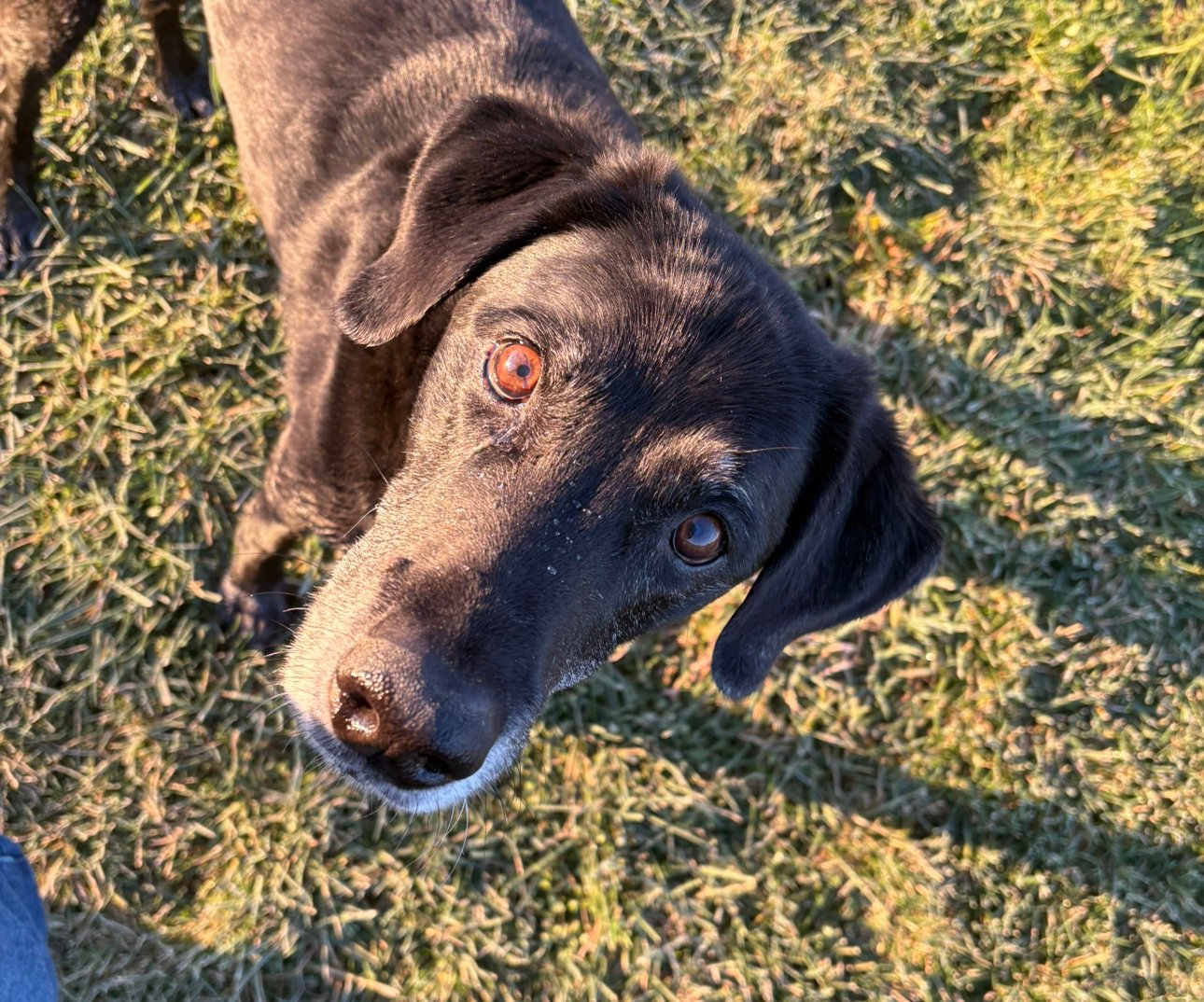 AnnSmorado262's profile picture. 