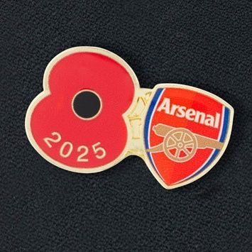 ZanderTheGunner's profile picture. Lover of the almighty Arsenal and having a good laugh.