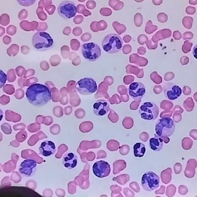 JRMT497590's profile picture. RMT by March 11, 2026 🫶

TOPNOTCHER !!