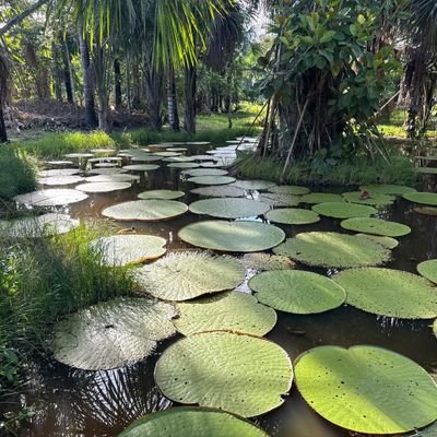 ChiragP44637717's profile picture. 