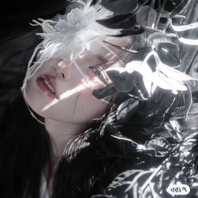 traumabind's profile picture. @occult4 @platinumshape