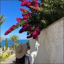 alariddice59086's profile picture. 