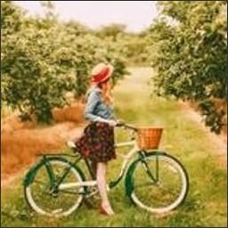 omtiveros583811's profile picture. 