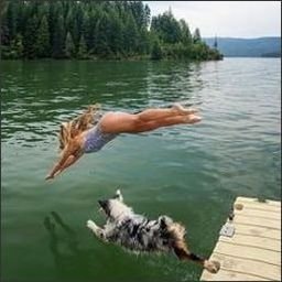 redesdispo93919's profile picture. 