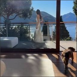 bueseajtun47016's profile picture. 